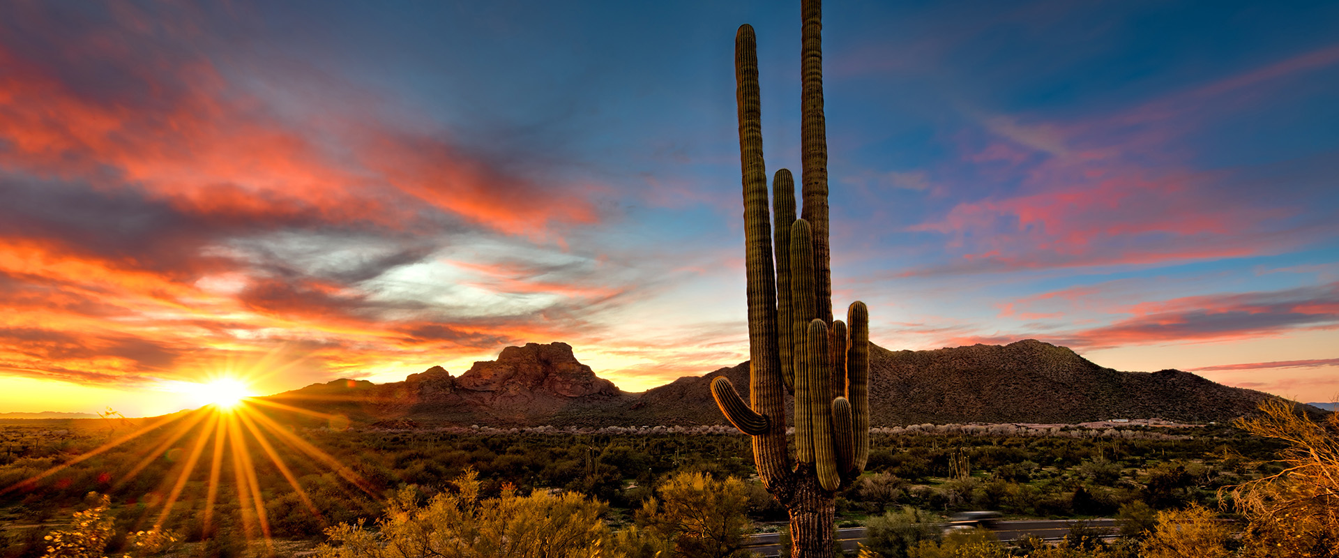 Tucson landscape and community