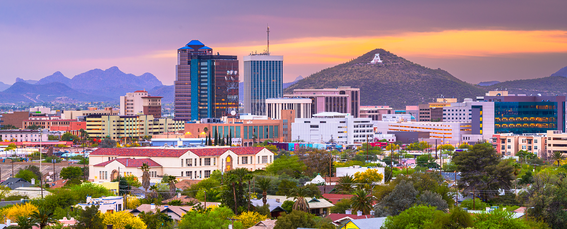 Tucson skyline and desert landscape
